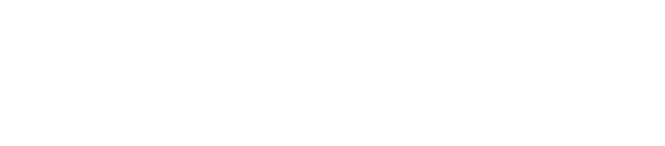 PalletizHD logo