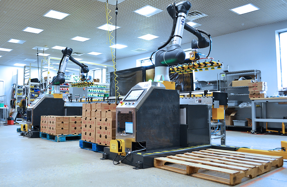 Palletizing Robot Line